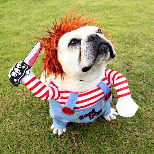 Fantasia Chucky Para Cachorro - Duty™
