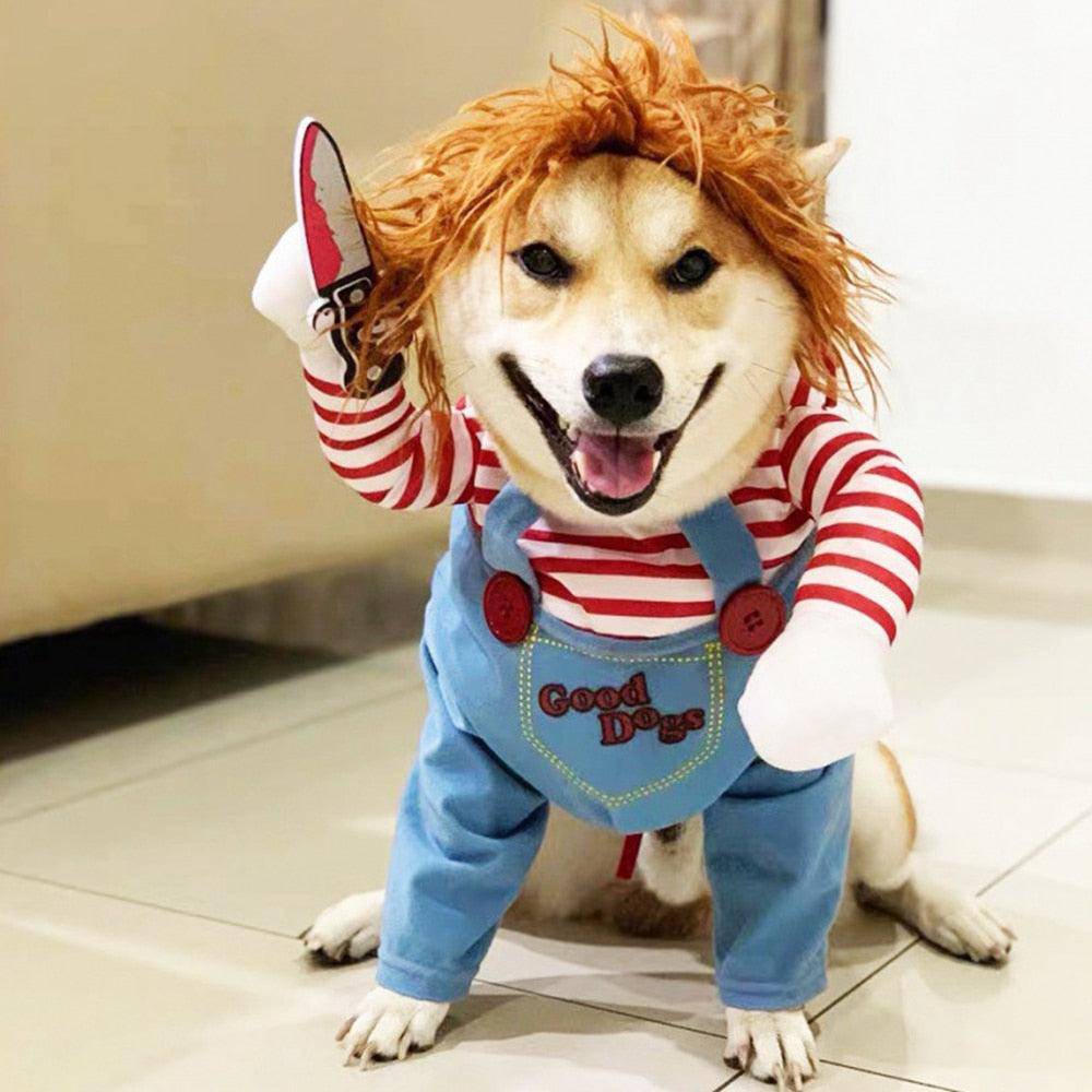 Fantasia Chucky Para Cachorro - Duty™