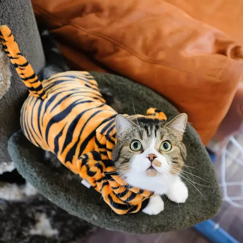 Fantasias para Pets - Pawzly™