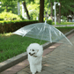 Guia com Guarda-chuva Tour - Barkify™