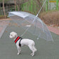 Guia com Guarda-chuva Tour - Barkify™