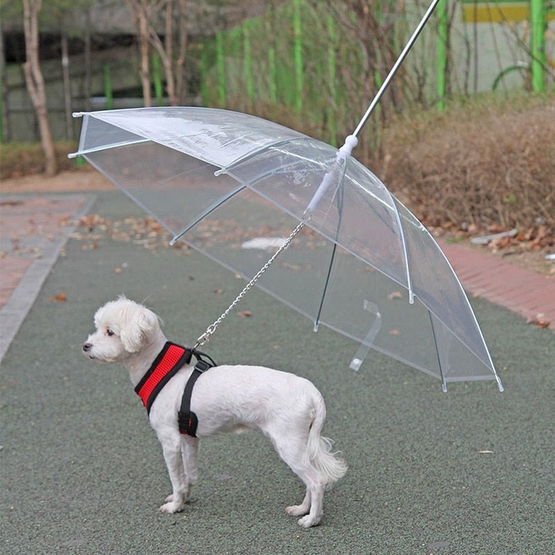 Guia com Guarda-chuva Tour - Barkify™