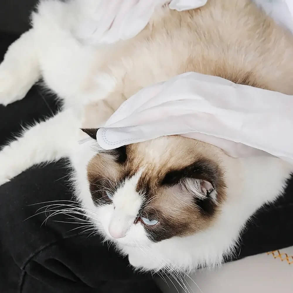 Luva de Limpeza a Seco Para cães e gatos