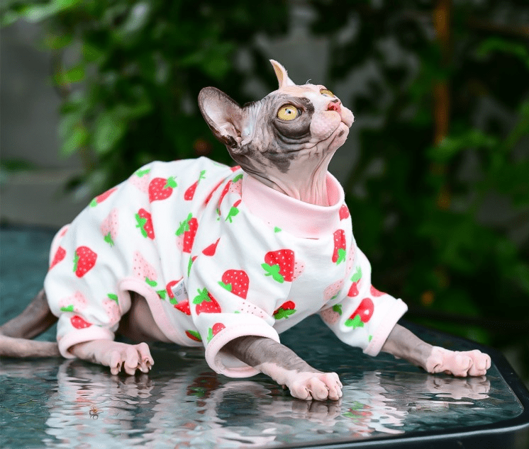 Macacão Cat - Snouty™