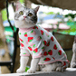 Macacão Cat - Snouty™