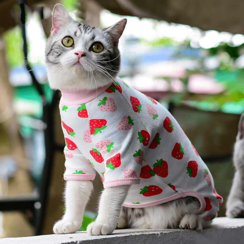 Macacão Cat - Snouty™