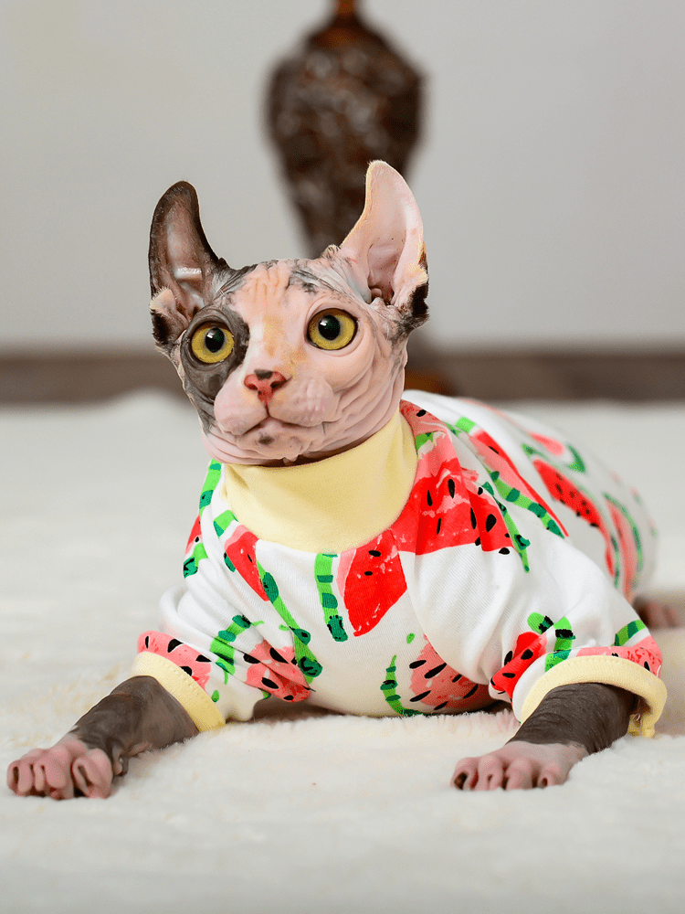 Macacão Cat - Snouty™