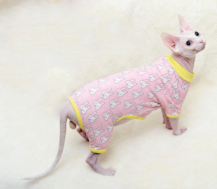 Macacão Cat - Snouty™