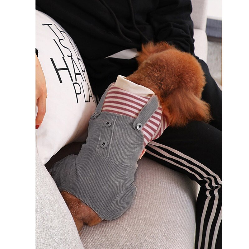 Macacão Pet - Pawzly™