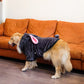 Moletom Fofo Adventure - Pawzly™