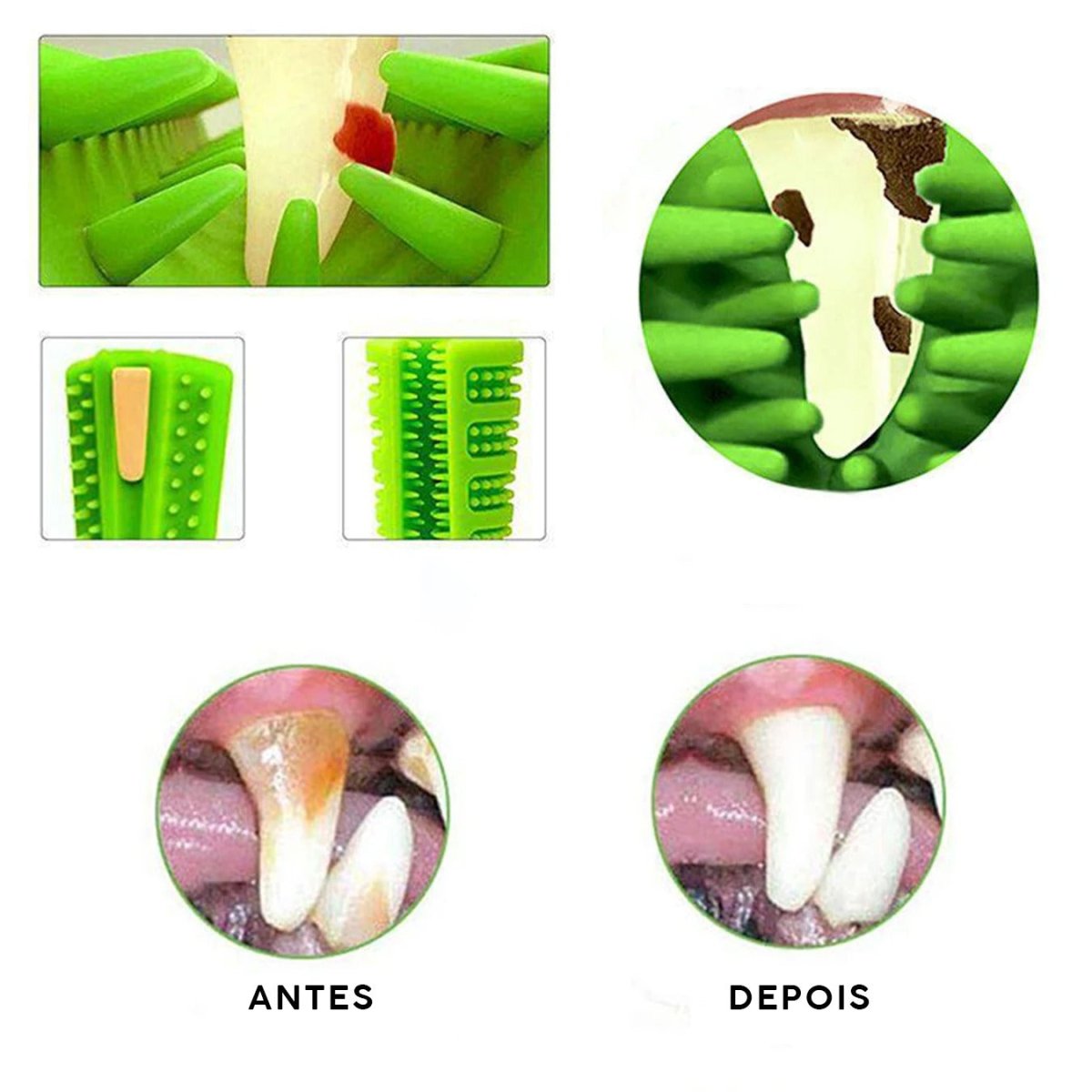 Mordedor Escova de Dentes para Cão  - Petzo™