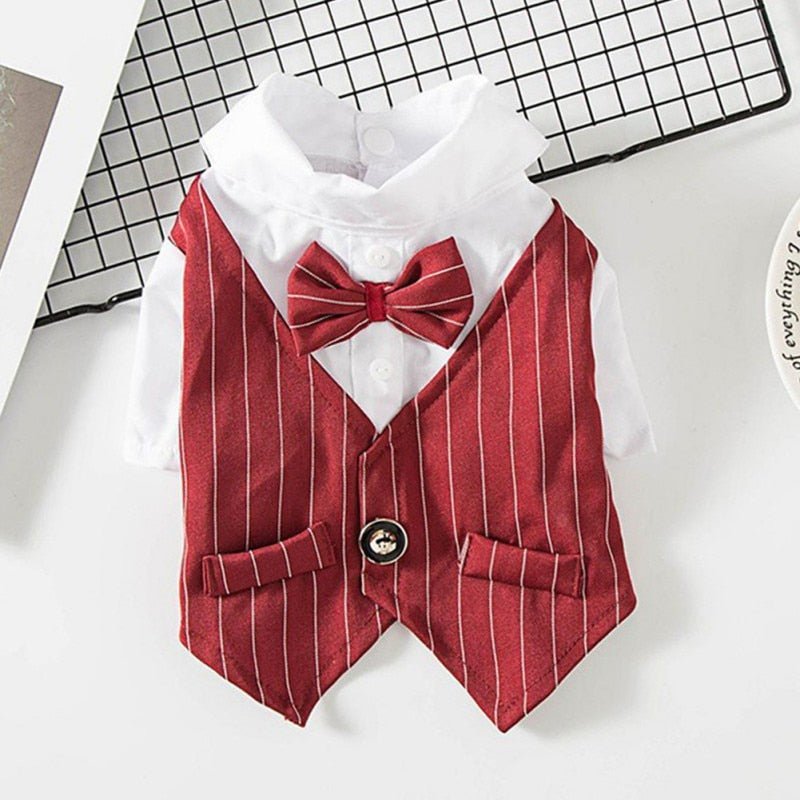 Roupa Estilo Terno Elegante Para Pet - Barkify™