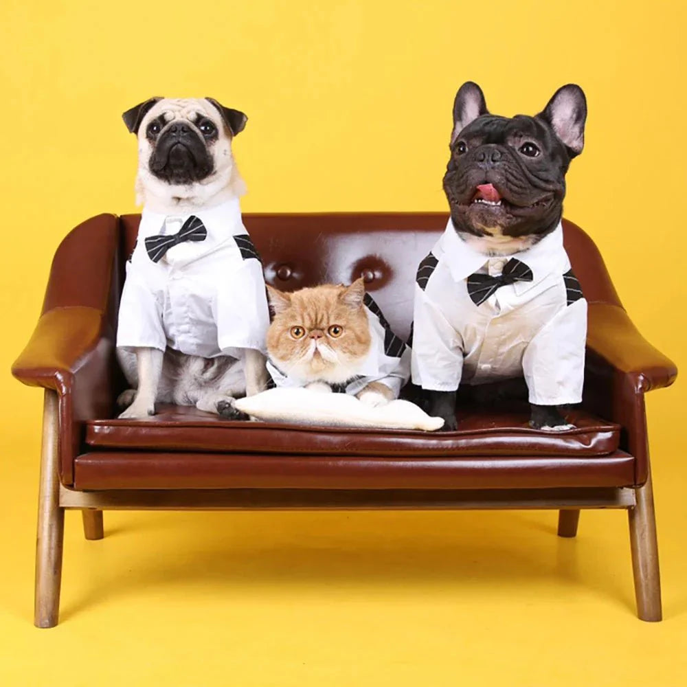 Roupa Estilo Terno Elegante Para Pet - Barkify™