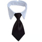 Roupa Fantasia para Pet do Harry Potter - Duty™