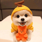 Suéter para Cachorro - Pawzly™