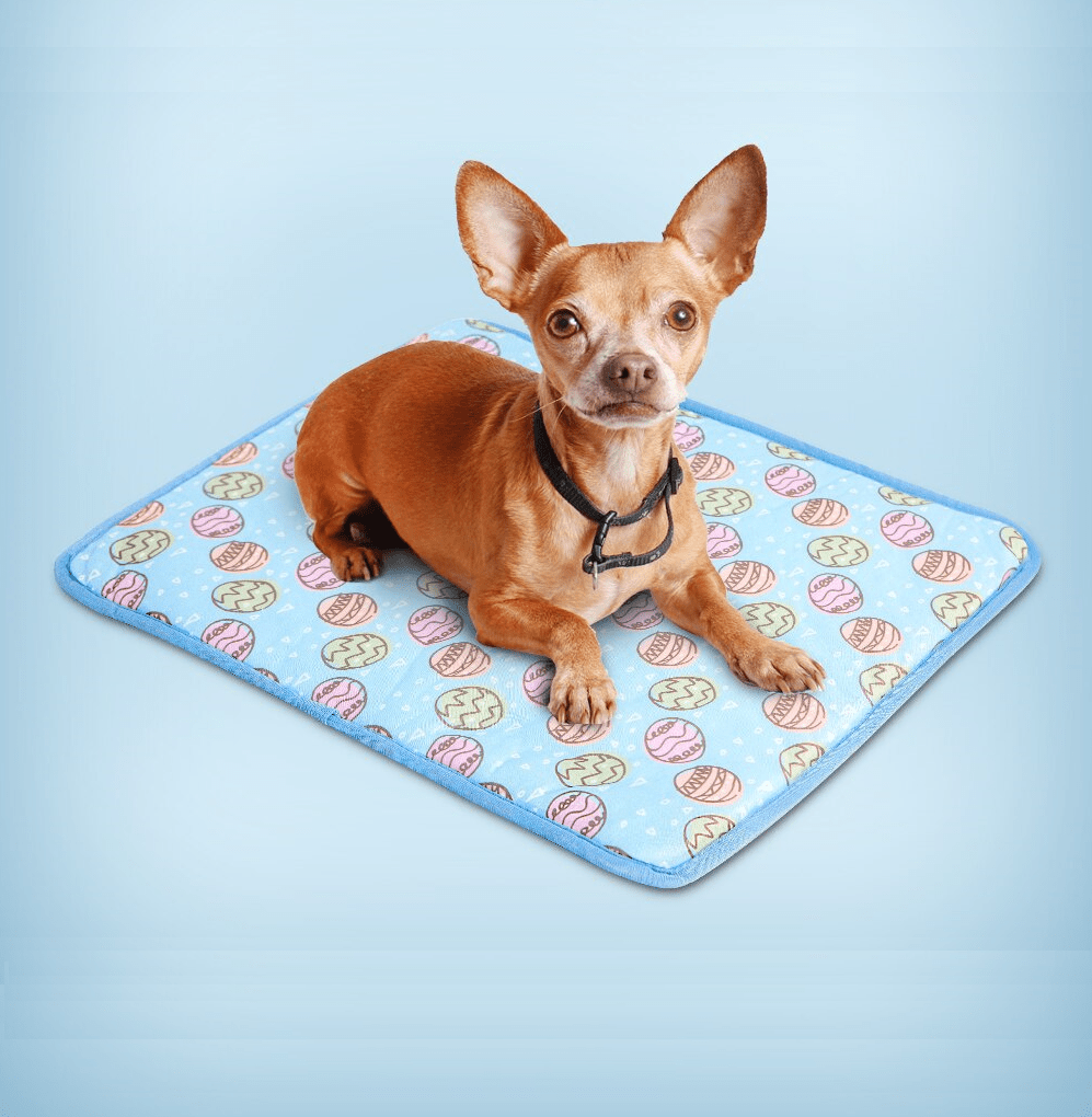 Tapete Gelado Ice Pet - Pawzly™