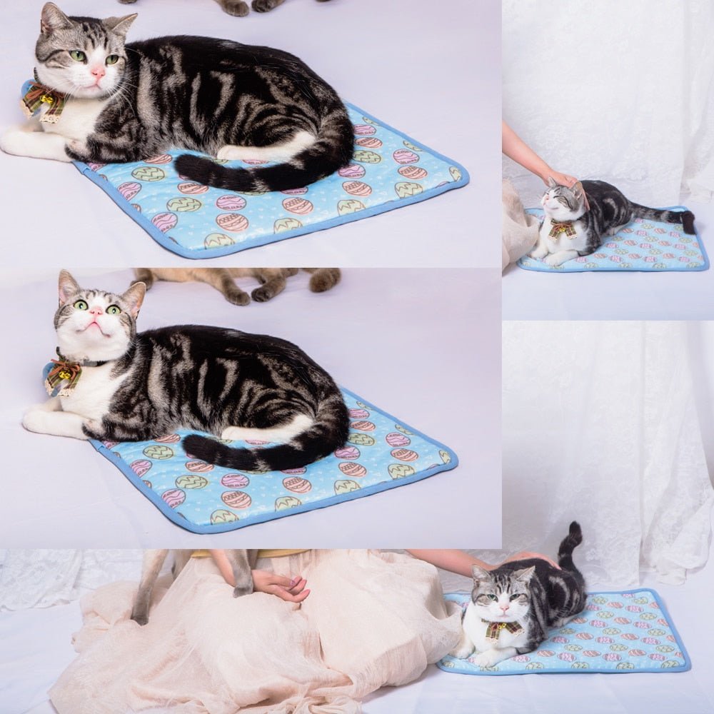 Tapete Gelado Ice Pet - Pawzly™