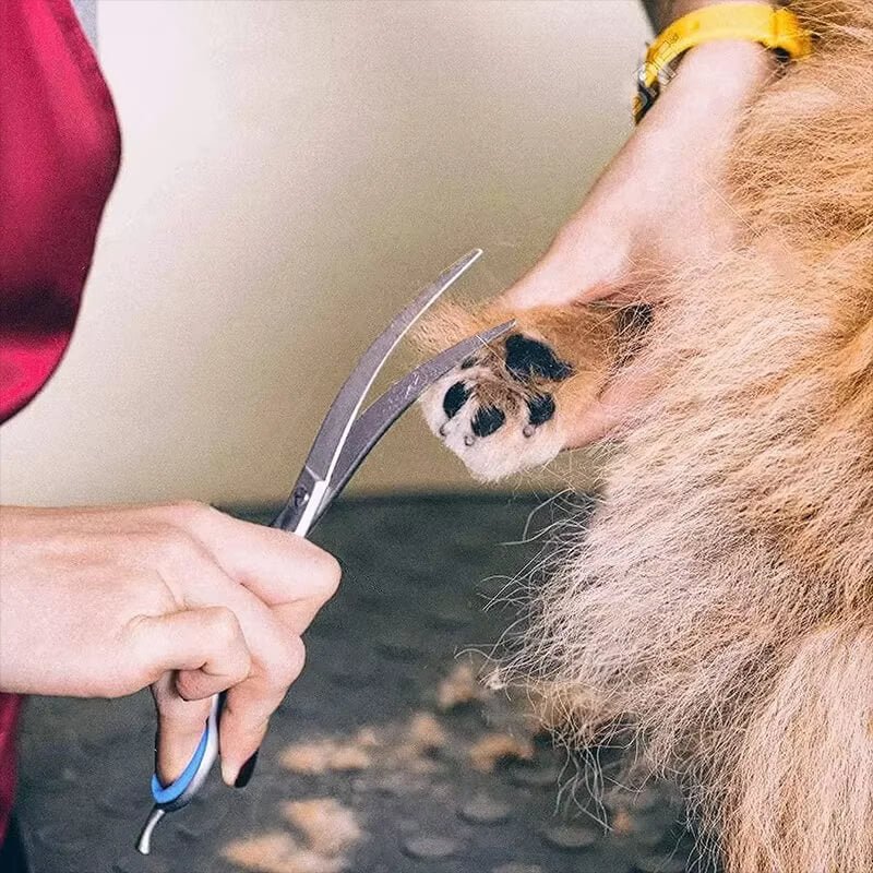 Tesoura Para Tosa Pet 5 em 1 - Lupzy™