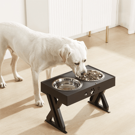Tigela Ajustável 3 Alturas Grow - Pawzly™