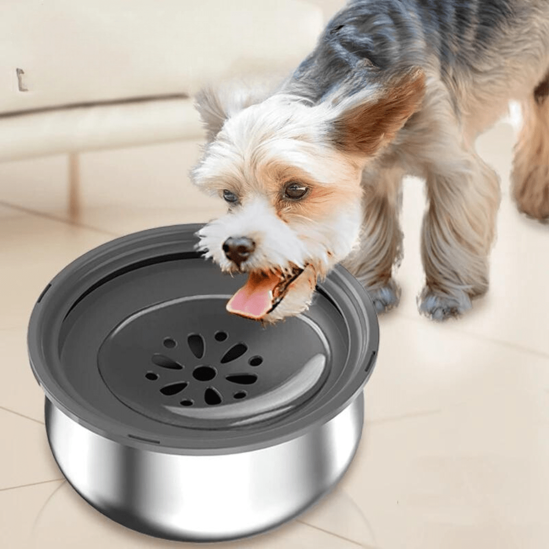 Tigela Anti-respingo Inox 4L - Lupzy™